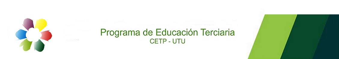 Educación Terciaria