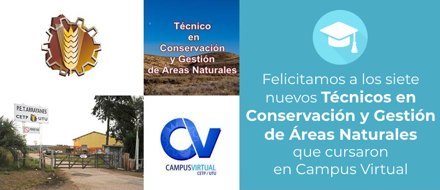 felicitamos