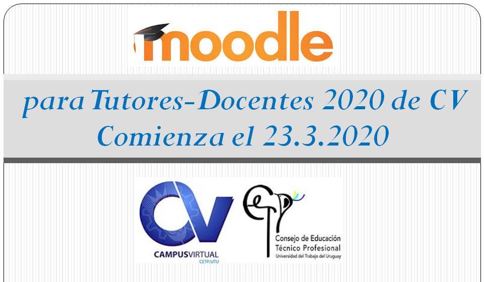 calificador 2020