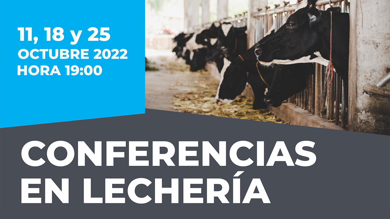 lecheria