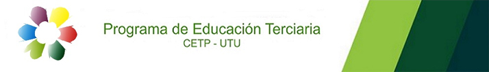 educacion terciaria