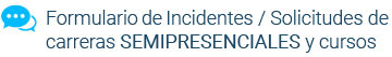 Formulario incidentes