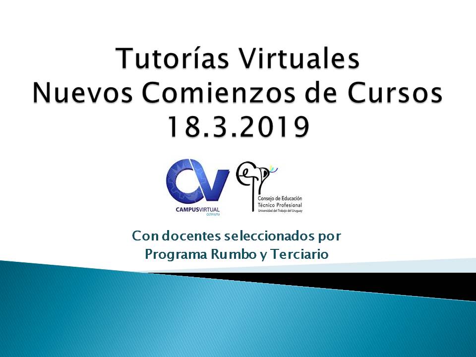 Nuevos cursos 2019