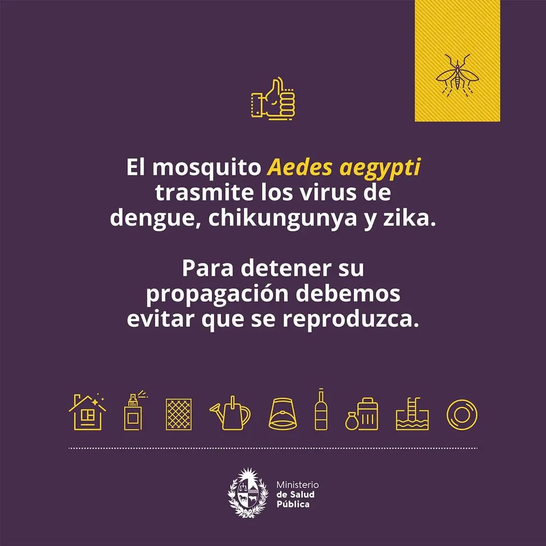 prevencion dengue 1