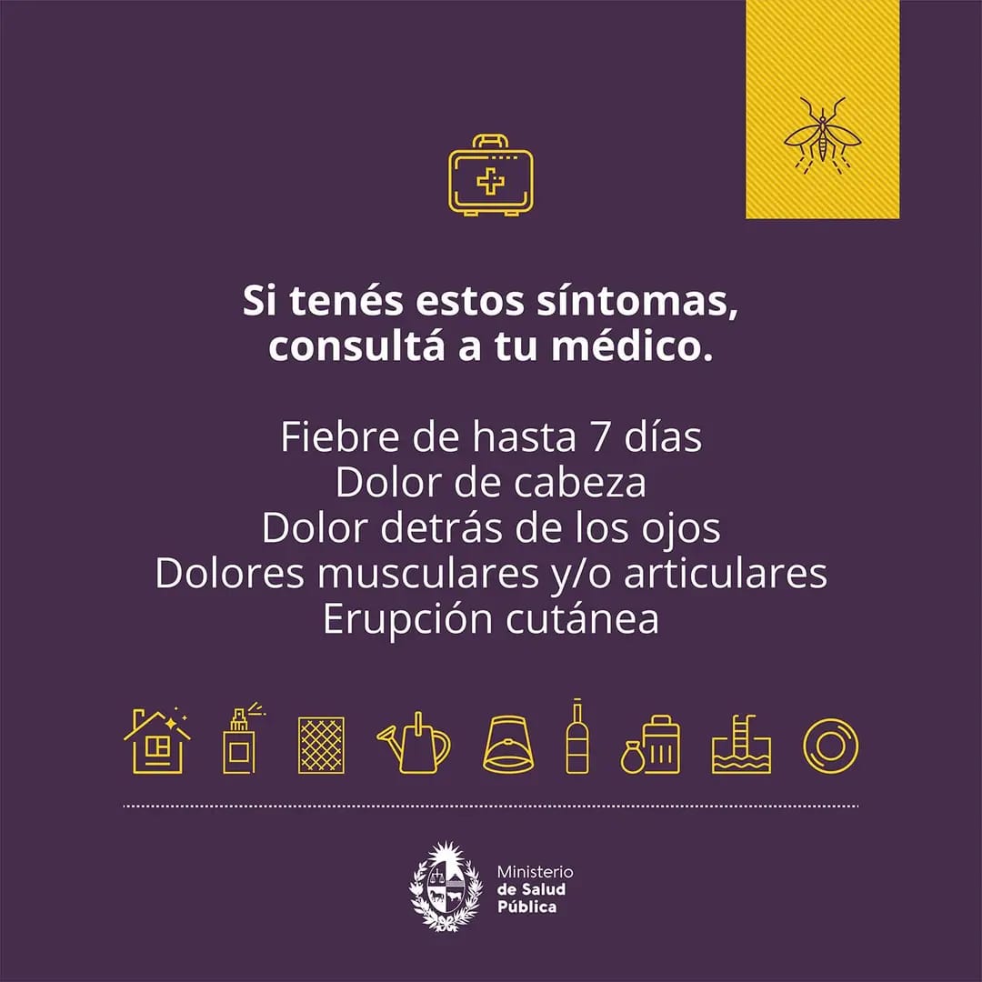 prevencion dengue 2