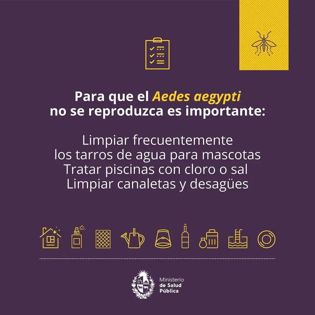 prevencion dengue 3